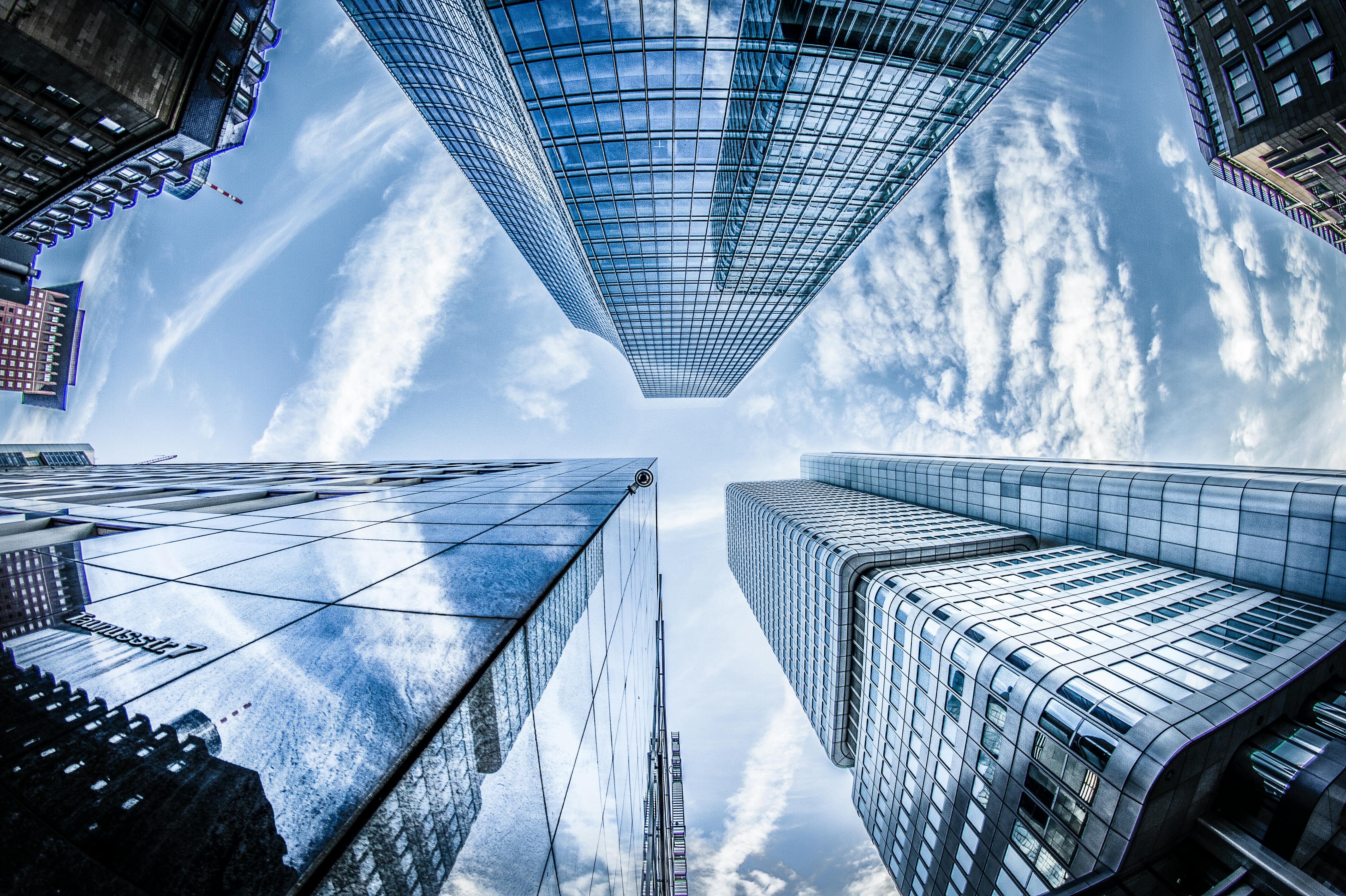 Dynamic Network Architecture
